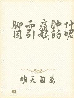 脚面痛肿什么原因引起的呢封面