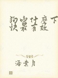 狗吃什么下奶最快最有效