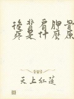 后背肩胛骨下面疼是什么原因引起的?