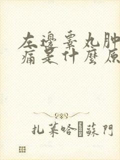左边睾丸肿大疼痛是什么原因引起的封面