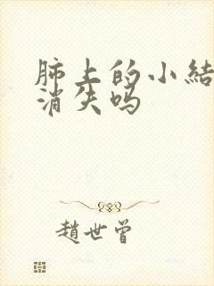 肺上的小结节会消失吗封面