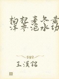 枸杞麦冬黄芪西洋参泡水功效