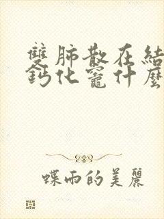 双肺散在结节及钙化灶什么意思啊封面