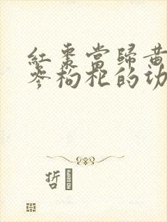 红枣当归黄芪党参枸杞的功效
