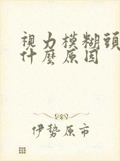 视力模糊头晕是什么原因