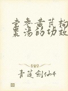 党参黄芪枸杞红枣汤的功效