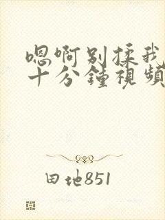 嗯啊别揉我奶头十分钟视频