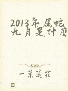 2013年属蛇九月是什么命