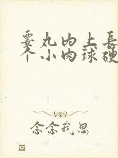 睾丸内上长了一个小肉球硬硬的