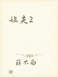 姐夫2