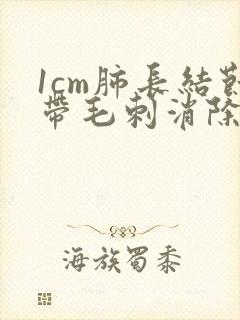 1cm肺长结节带毛刺消除率能有多大