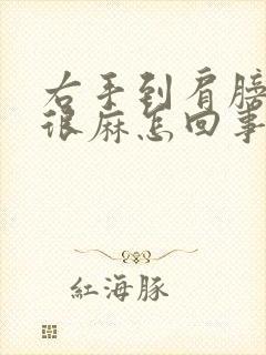 右手到肩膀的都很麻怎回事封面