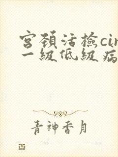 宫颈活检cin一级低级病变封面