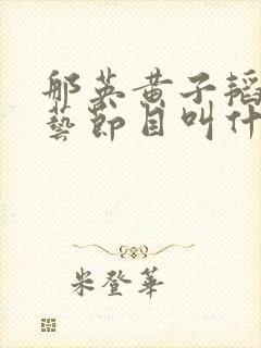 那英黄子韬的综艺节目叫什么