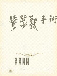 膝关节手术置换多少钱