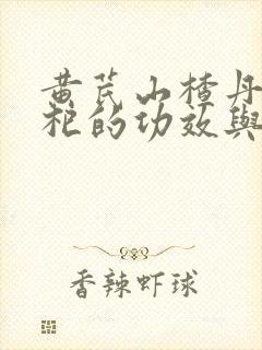 黄芪山楂丹参枸杞的功效与主治作用