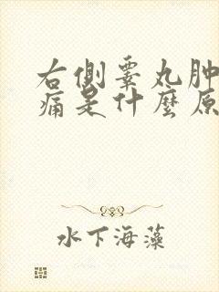 右侧睾丸肿大疼痛是什么原因引起