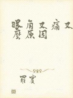 眼角又痛又痒什么原因