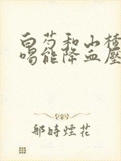 白芍和山楂煮水喝能降血压吗