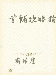 首辅攻略指南