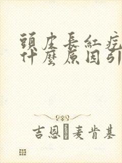 头皮长红疙瘩是什么原因引起的