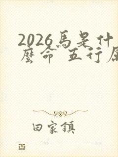 2026马是什么命 五行属什么封面