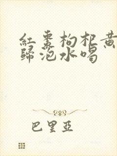 红枣枸杞黄芪当归泡水喝