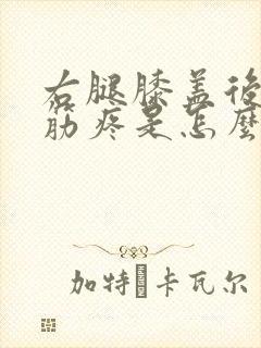 右腿膝盖后面的筋疼是怎么回事