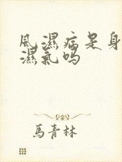 风湿病是身体有湿气吗