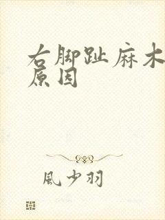 右脚趾麻木什么原因