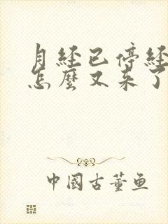 月经已停经半年怎么又来了呢怎么回事