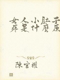 女人小肚子左侧疼是什么原因