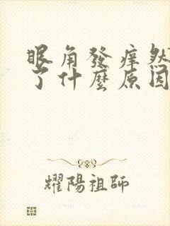 眼角发痒然后肿了什么原因