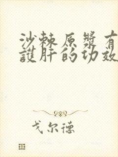 沙棘原浆有养肝护肝的功效吗