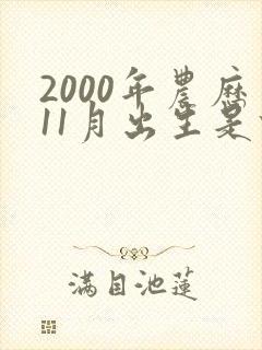 2000年农历11月出生是什么命