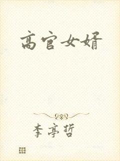 高官女婿封面