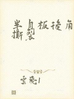 半月板后角三度撕裂
