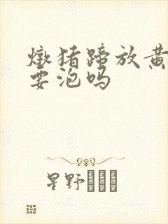 炖猪蹄放黄豆需要泡吗