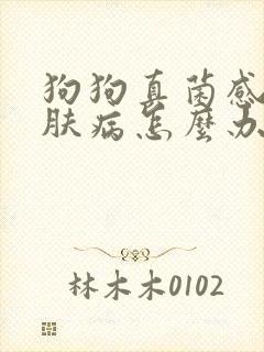 狗狗真菌感染皮肤病怎么办