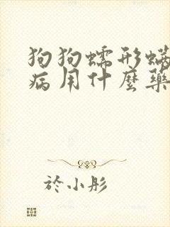 狗狗蠕形螨皮肤病用什么药封面