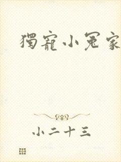 独宠小冤家封面