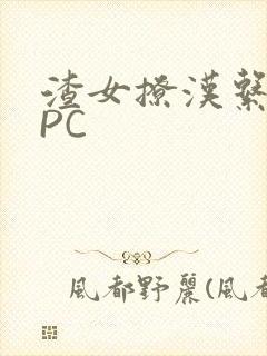 渣女撩汉系统NPC