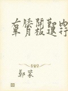 右膝关节内外侧半月板退行变