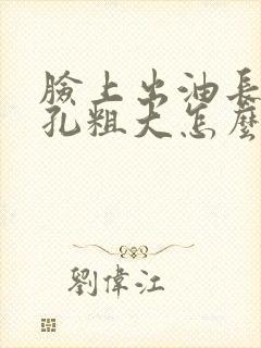 脸上出油长痘毛孔粗大怎么办