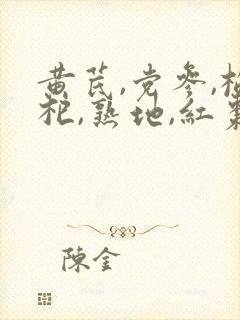 黄芪,党参,枸杞,熟地,红枣炖汤有什么功效封面