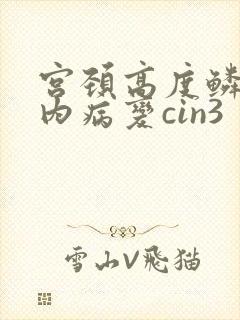 宫颈高度鳞状皮内病变cin3