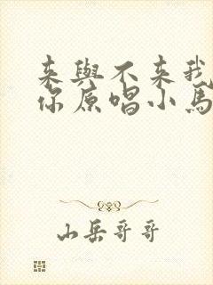 来与不来我都等你原唱小马哥封面