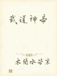 武道神帝封面
