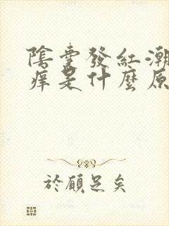 阴囊发红潮湿瘙痒是什么原因造成的封面