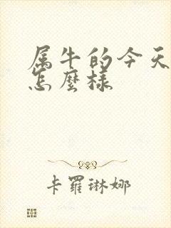 属牛的今天财运怎么样